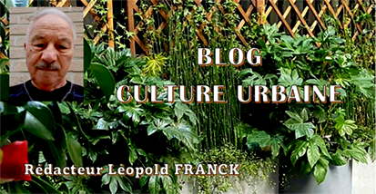 Featured Post Image - BLOG CULTURE URBAINE